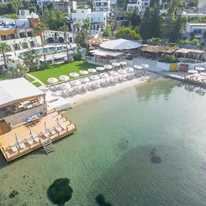 5* Otel Avantgarde